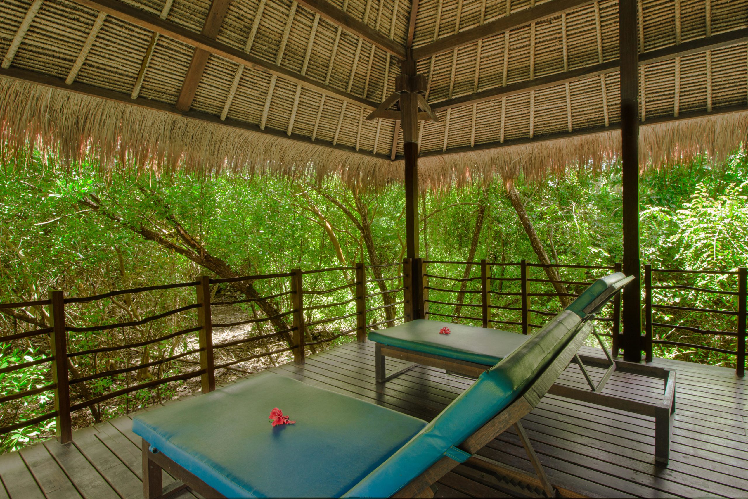 Mangrove Suite