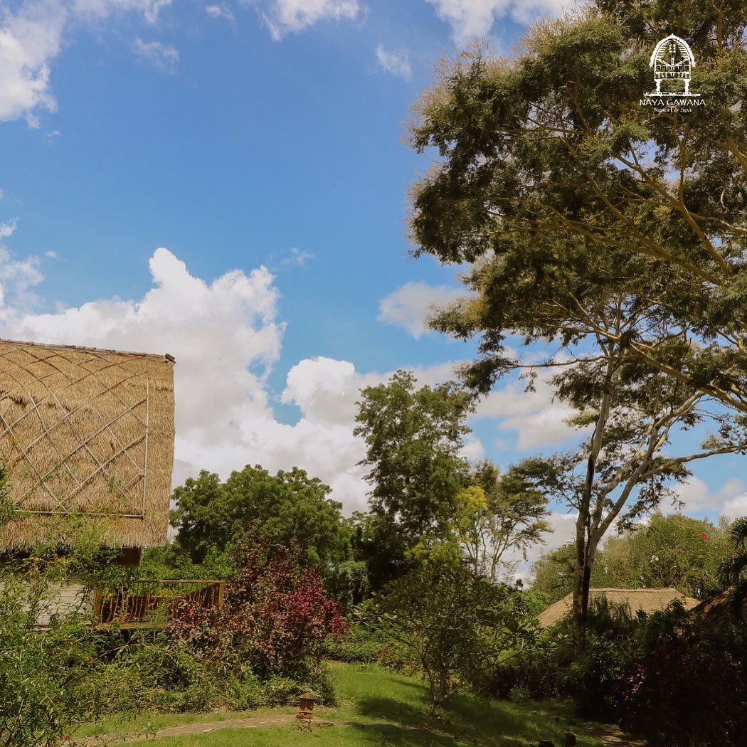 Our Story at Naya Resorts